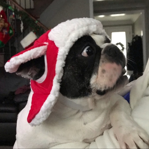 Meet your Posher, Care 2 Be - Picture 1 of 1